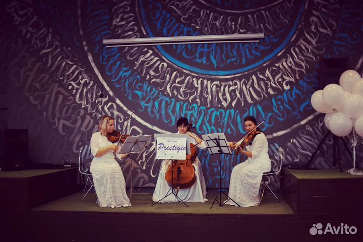 Музыканты на праздник, скрипка, виолончель,квартет