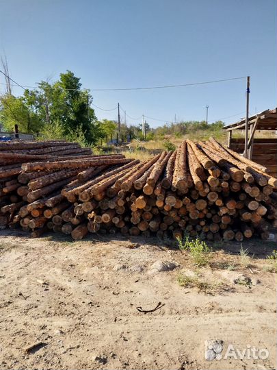 Лес кругляк сосна