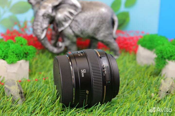 Canon EF 50mm f/1.4 USM ID 572