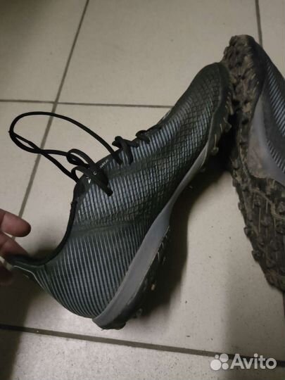 Сороконожки демикс