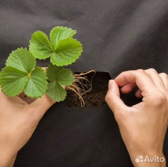 Спанбонд черный 60 г/кв.м