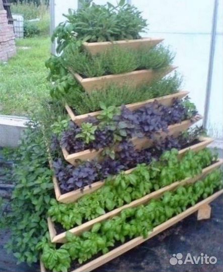 Все для сада