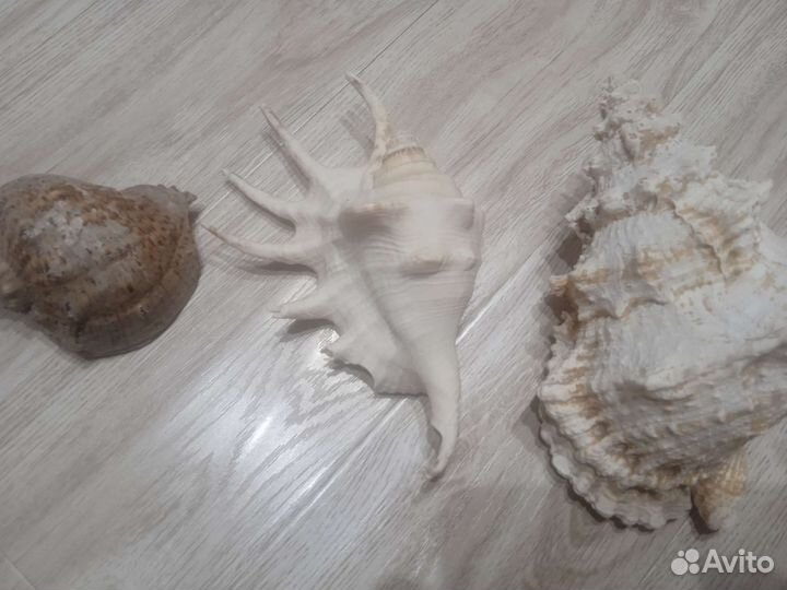 Аксессуар для аквариума