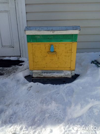 Продаю ульи