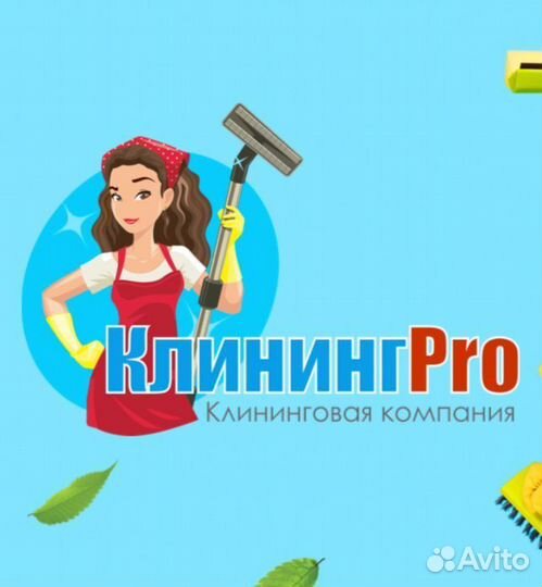 Готовый бизнес на Клининге и Химчистке