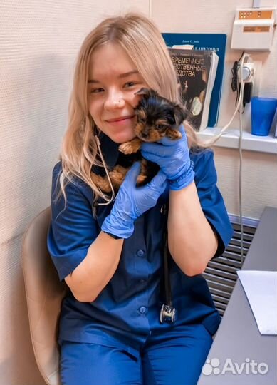 Ветеринарный врач круглосуточно на дом