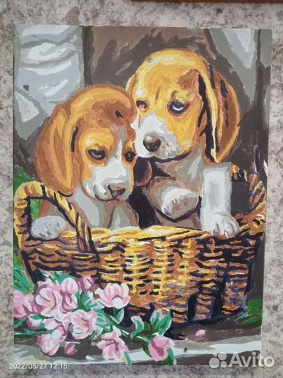 Постеры, картина разные