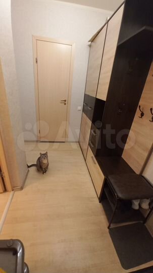 1-к. квартира, 38,6 м², 3/5 эт.