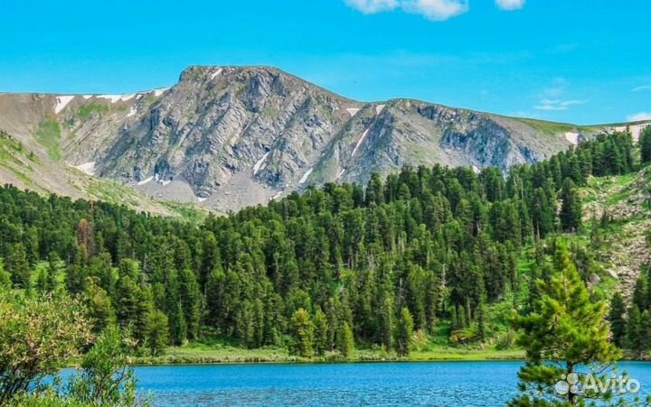 Тур Горный Алтай на 6 ночей