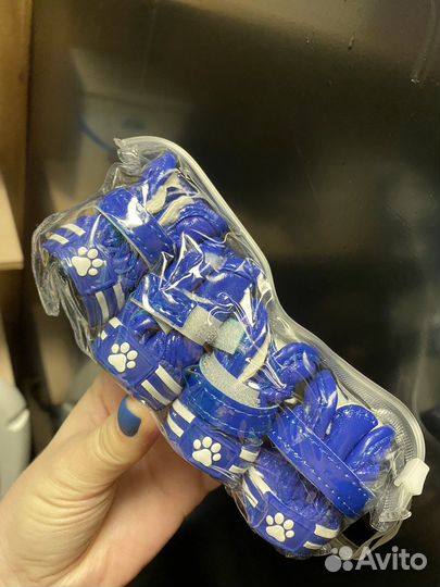 Одежда для маленьких пород собак