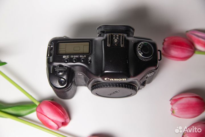 Зеркальный фотоаппарат canon 5D body