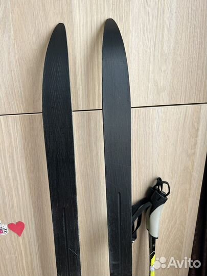 Лыжи беговые fisher rcs