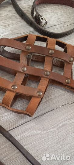 Намордник, поводок для собаки