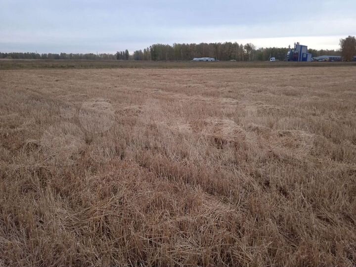 Участок 9,9 га (СНТ, ДНП)