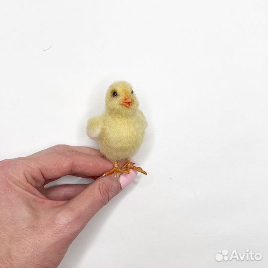 Цыпленок миниатюра