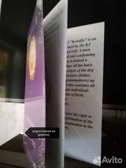 Биро-девочка