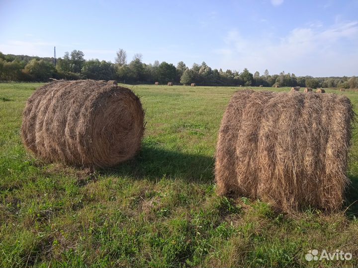 Сено в рулонах