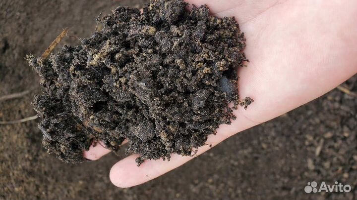 Растительный грунт