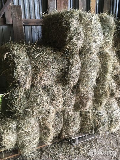 Продам сено в рулонах, тюках