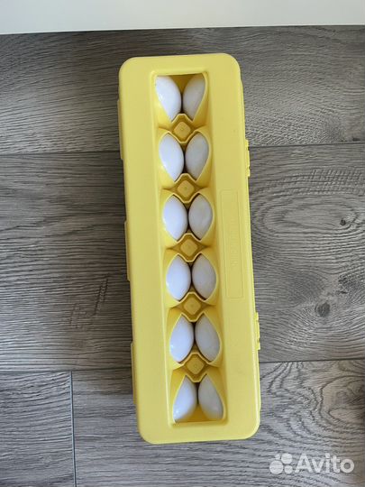 Сортер яйца