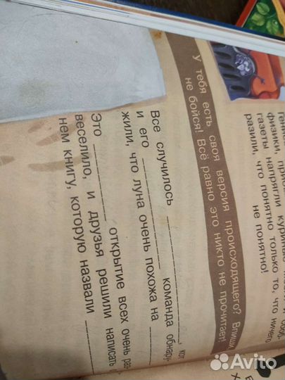 Кот да Винчи