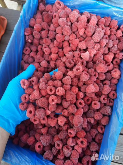 Замороженные ягоды,грибы,овощи(оптом)