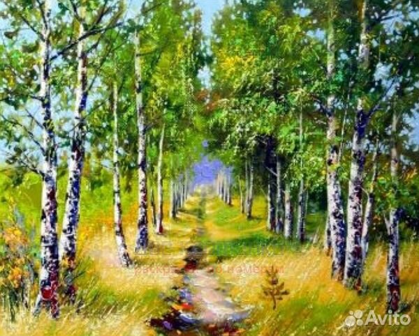 Картина по номерам 40x50 Тропка по березовой