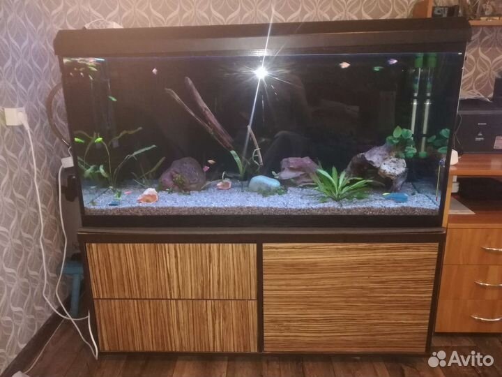 Аквариум с оборудованием и всем содержимым
