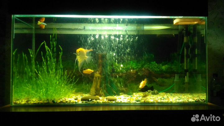 Продам аквариум