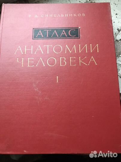Атлас анатомии человека синельников
