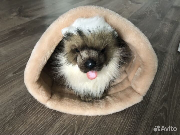 Нора для животных