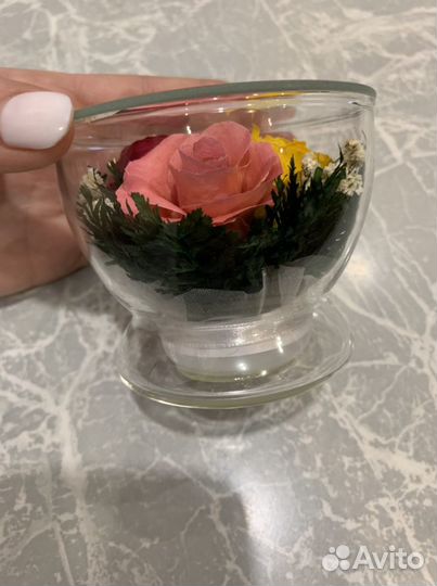 Цветы в стекле