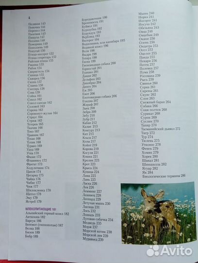 Мир животных