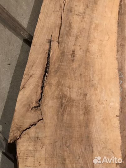 Слэб дуба, карагача, ясеня нск