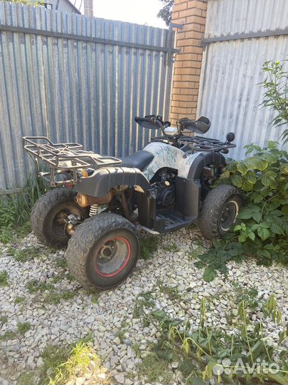 Квароцикл Avantis