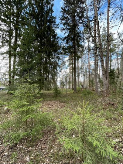 Участок 6,5 сот. (ИЖС)