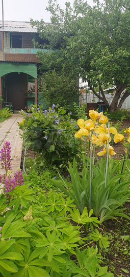 Дача 46,7 м² на участке 5 сот.