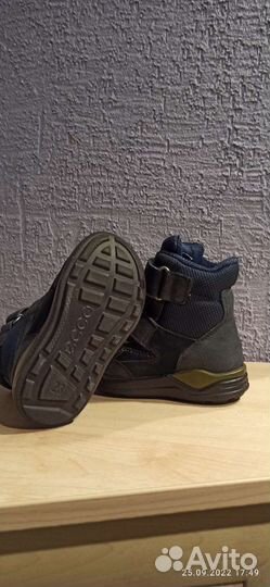 Ботинки демисезонные ecco 23