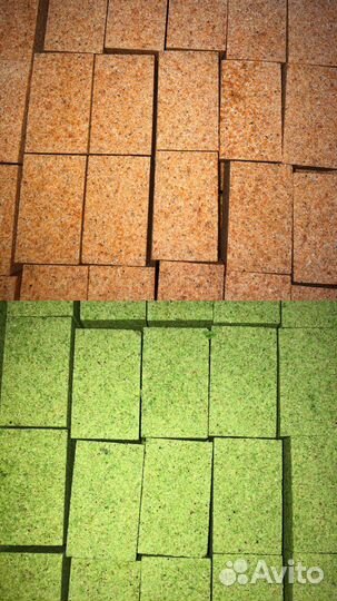 Жмых для рыбалки. Макуха для рыбалки