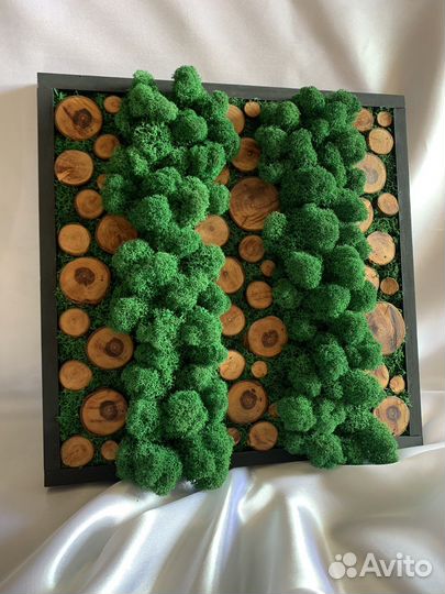 Картина, панно из мха и дерева