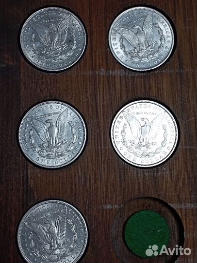 Доллар - Мирный, Морган