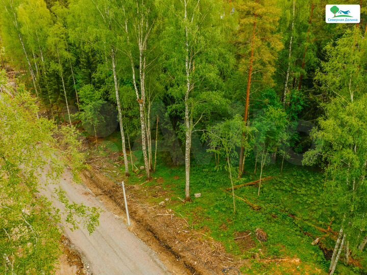 Участок 6 сот. (СНТ, ДНП)