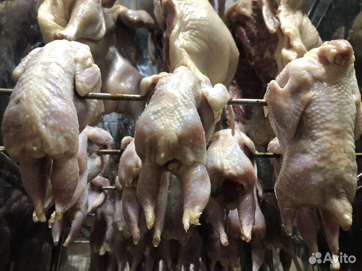 Перепела копченые и перепелиные яйца копченые