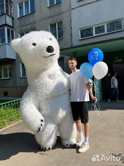 Ростовая кукла белый медведь поздравление