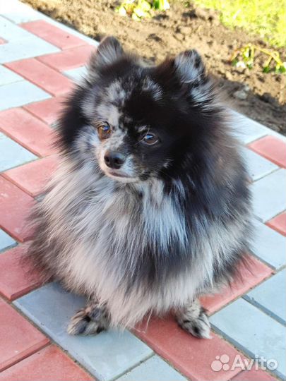 Вязка кабель