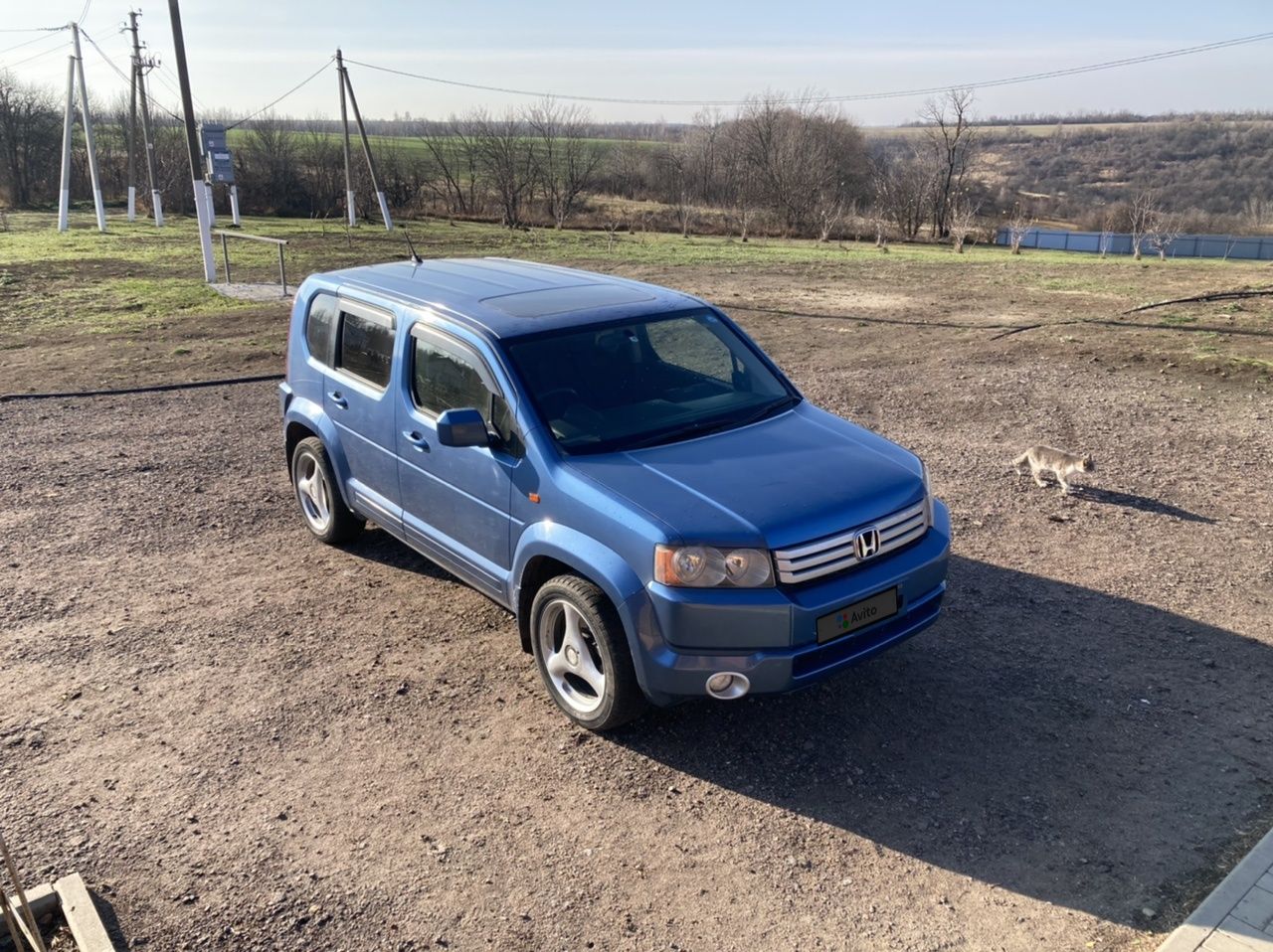 Honda Crossroad: фото владельца