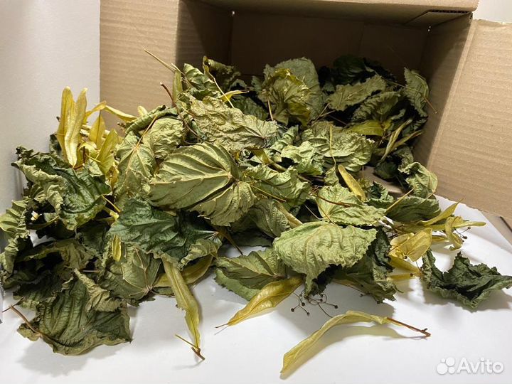 Корм и лакомство для грызунов