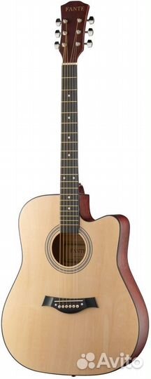 Акустическая гитара, с вырезом Fante