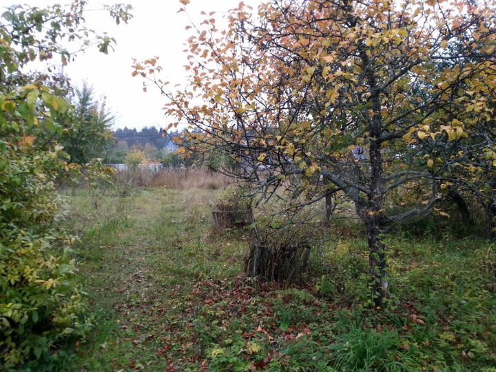 Участок 6 сот. (СНТ, ДНП)