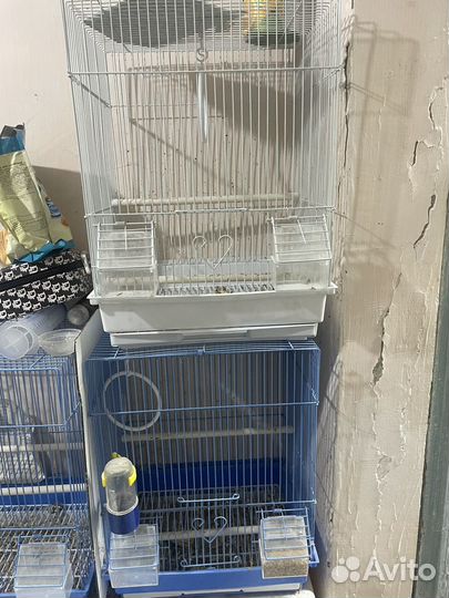 Клетка для кеноров